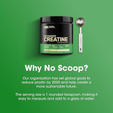 Micronized Creatine Powder 300g - 60 Servings